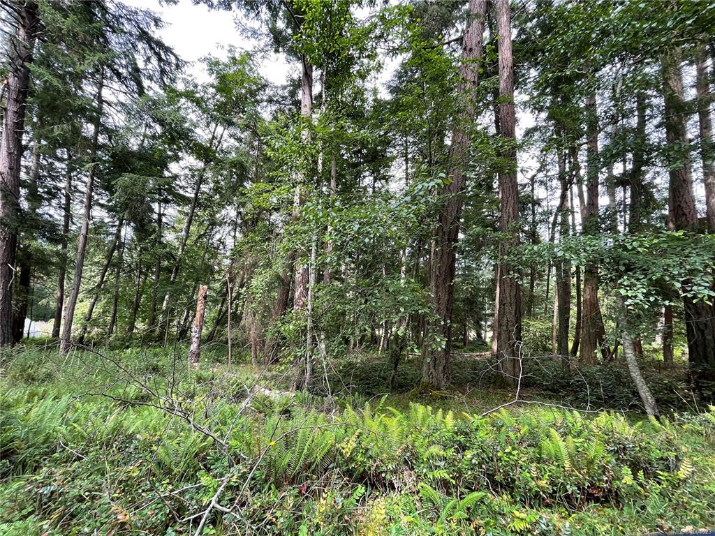 Fourth View of Lot 17 Apple Orchard Way, Mudge Island, BC, V1V 1V1