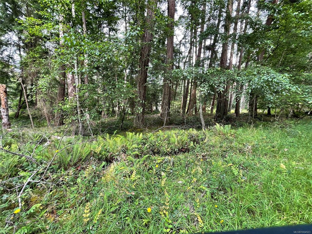 Fifth View of Lot 17 Apple Orchard Way, Mudge Island, BC, V1V 1V1
