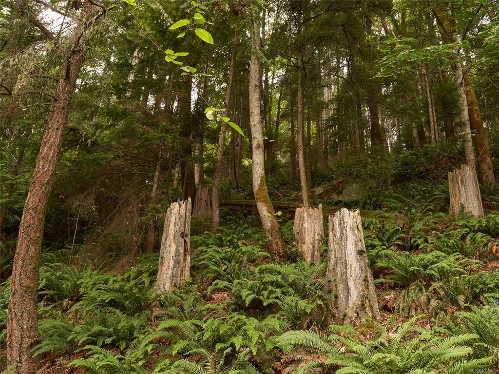 Fourth View of Lot 105 Pequod Cres, Gabriola Island, BC, V0V 0V0