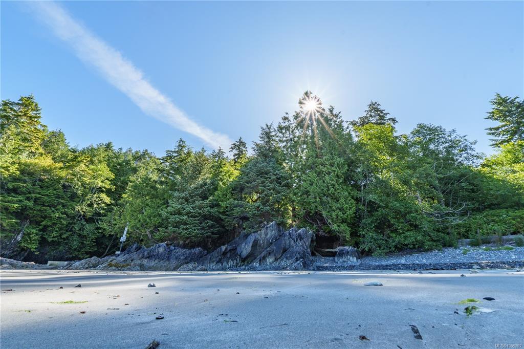 Fifth View of 261 Cedar St, Tofino, BC, V0R 2Z0