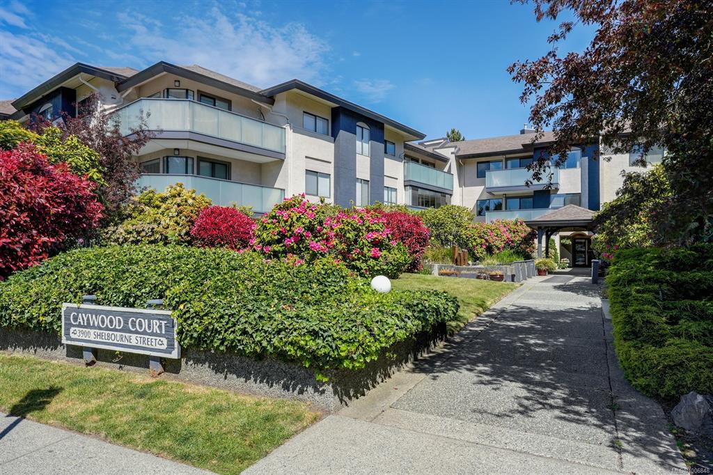 Third View of 3900 Shelbourne St, Saanich, BC, V8P 4H8