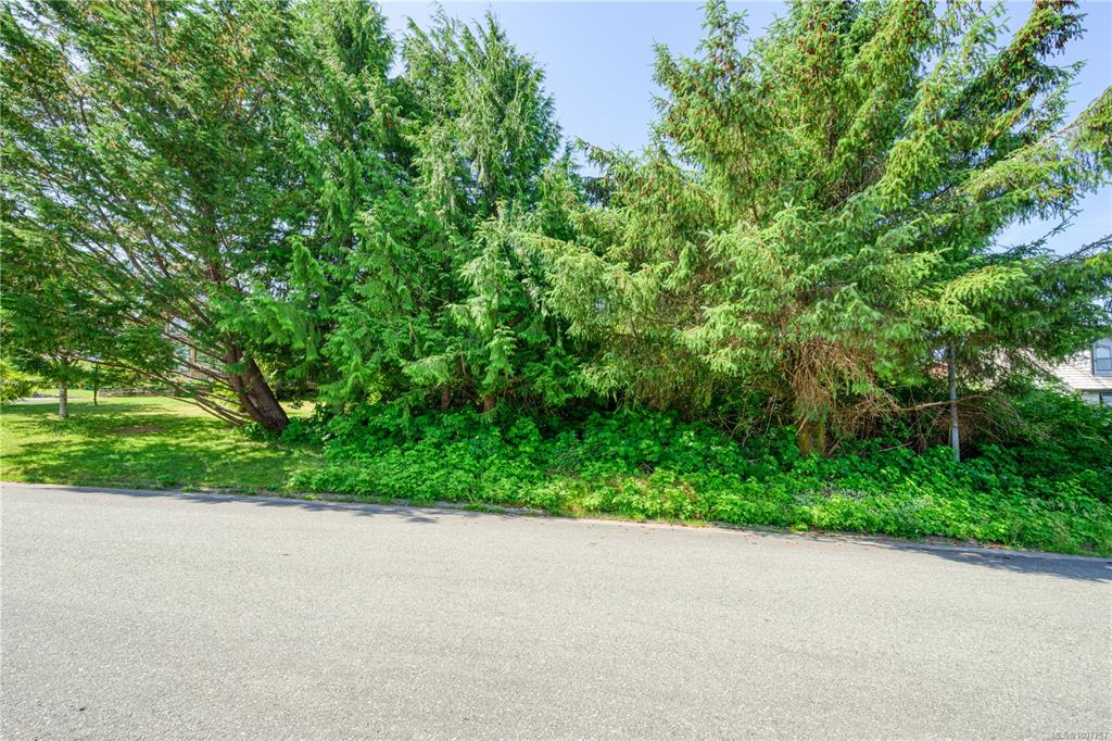 Third View of 5275 Fanshawe St, Port Hardy, BC, V0N 2P0