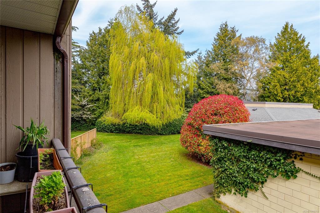 3215 Alder St, 1008102, BC,