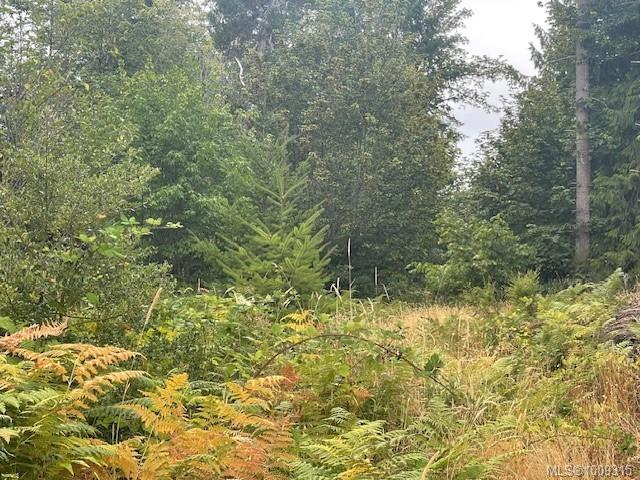 Fifth View of 3570 Carriere Rd, Port Alberni, BC, V9Y 7M4