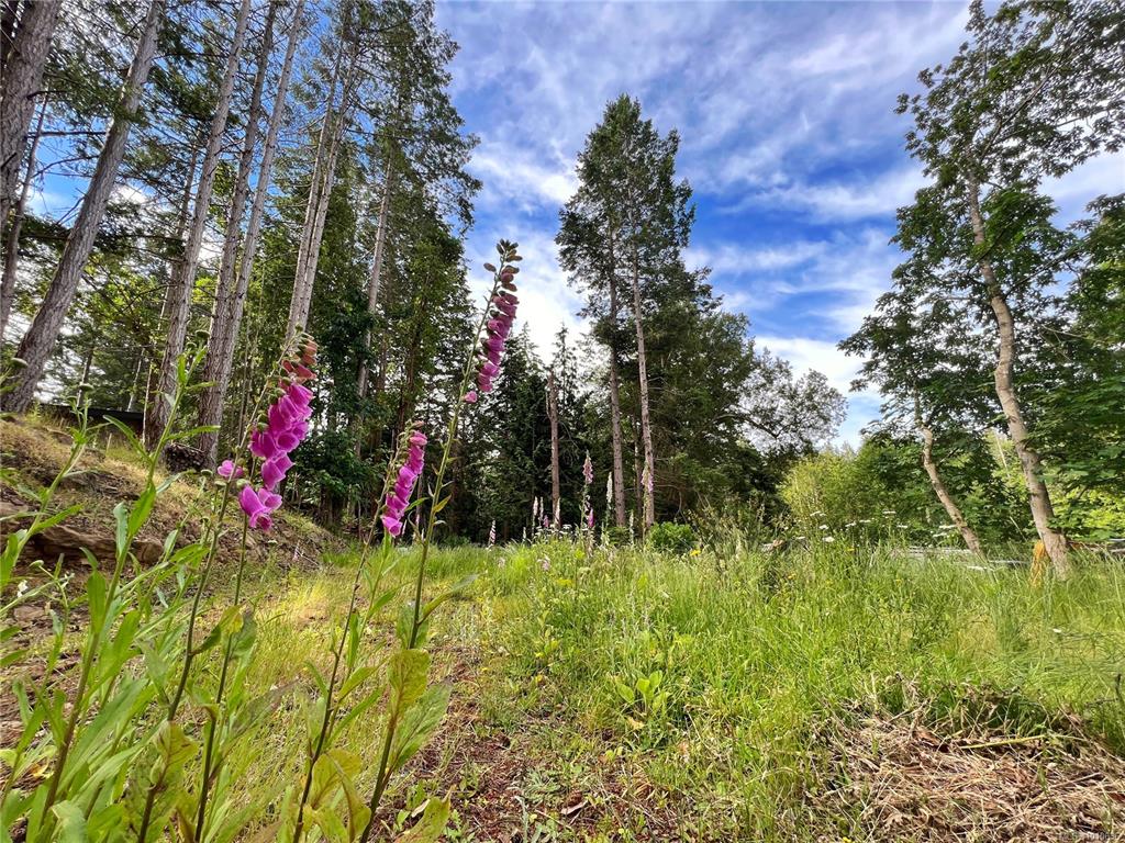 Lt 1 North Rd, 1010636, BC,