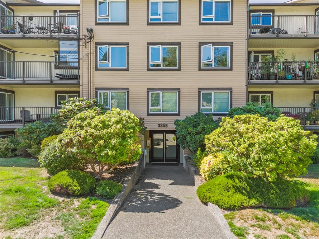 Third View of 3258 Alder St, Saanich, BC, V8X 1P2