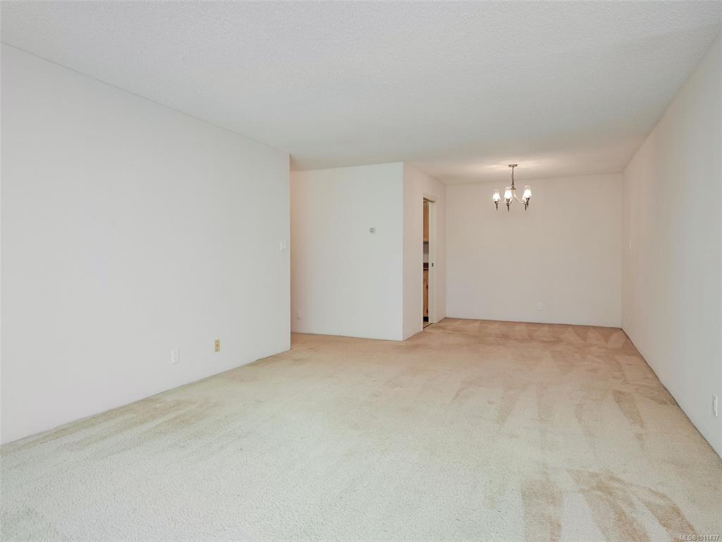 Fourth View of 935 Fairfield Rd, Victoria, BC, V8V 3A3