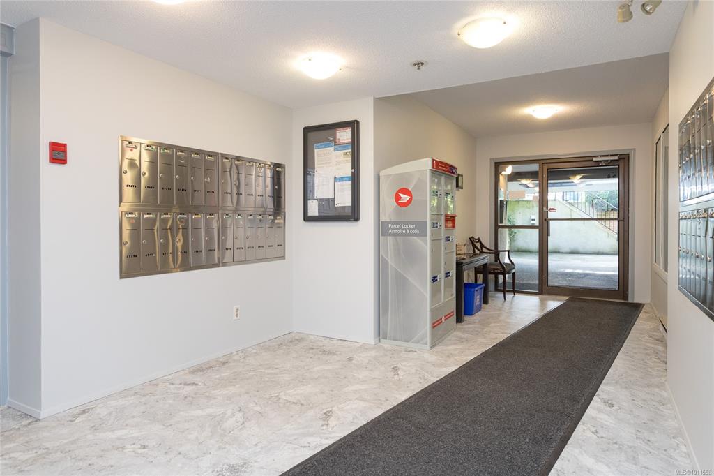 Fifth View of 1619 Morrison St, Victoria, BC, V8R 6R8