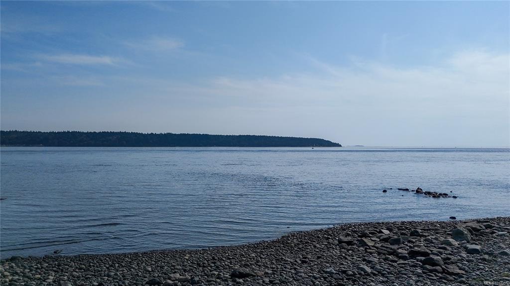 169 Island Hwy S, 1012351, BC,