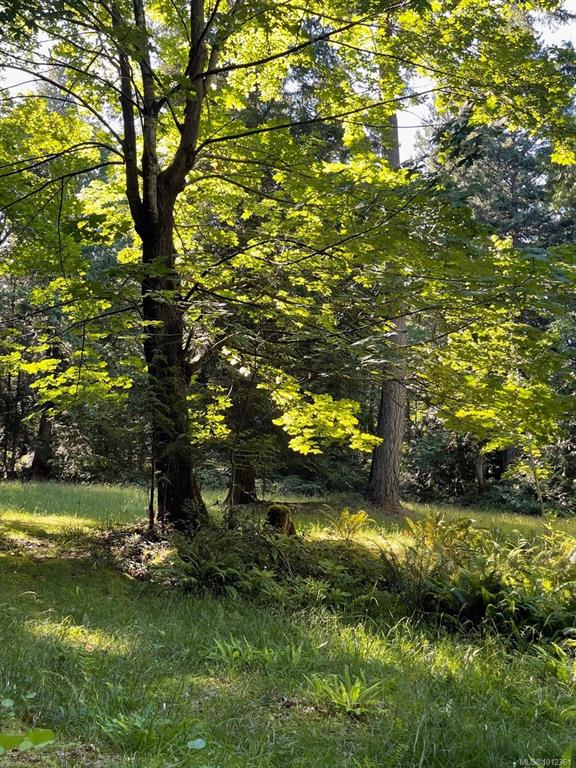 Fourth View of 6375 St Johns Point Rd, Hornby Island, BC, V0R 1Z0