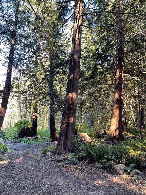 Fifth View of 6375 St Johns Point Rd, Hornby Island, BC, V0R 1Z0