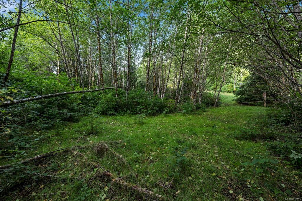 Third View of Lot 111 Powder Main Rd, Port Renfrew, BC, V0S 1K0