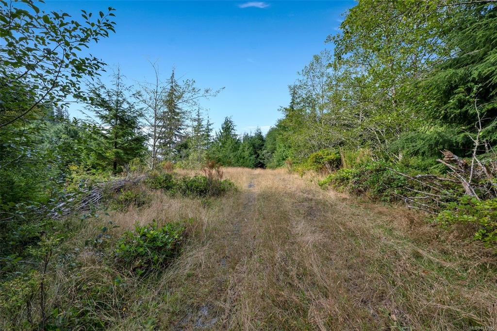 Fifth View of Lot 111 Powder Main Rd, Port Renfrew, BC, V0S 1K0