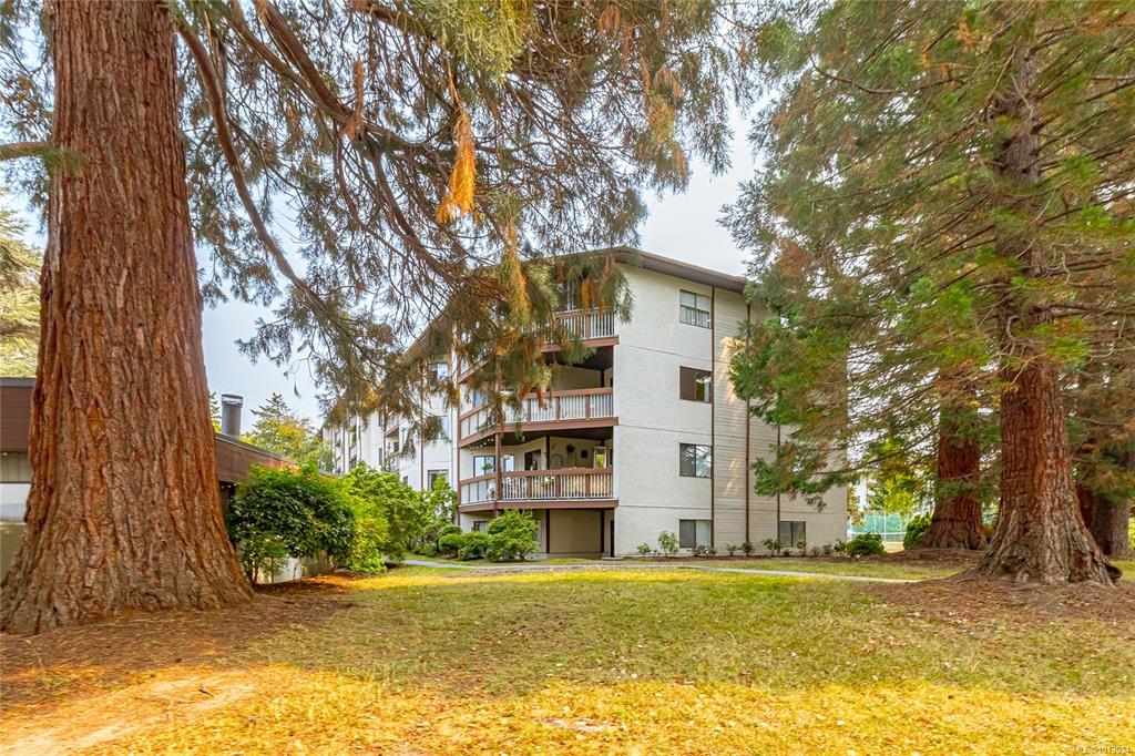 Second View of 75 Gorge Rd W, Saanich, BC, V9A 7A9