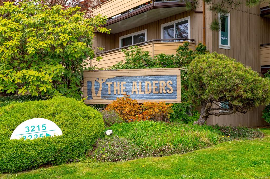 Second View of 3215 Alder St, The Alders, Saanich, BC, V8X 1P3