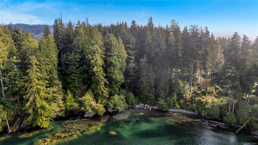 Fourth View of 6649 Godman Rd, Port Renfrew, BC, V0S 1K0