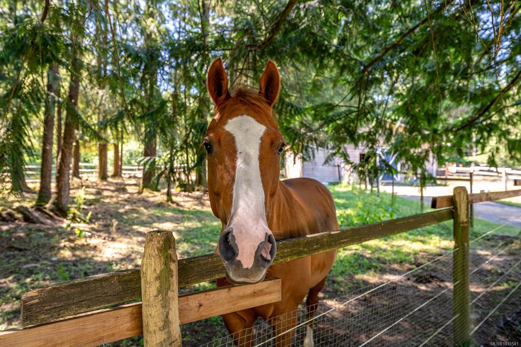 2468 Endall Rd, 1015541, BC,