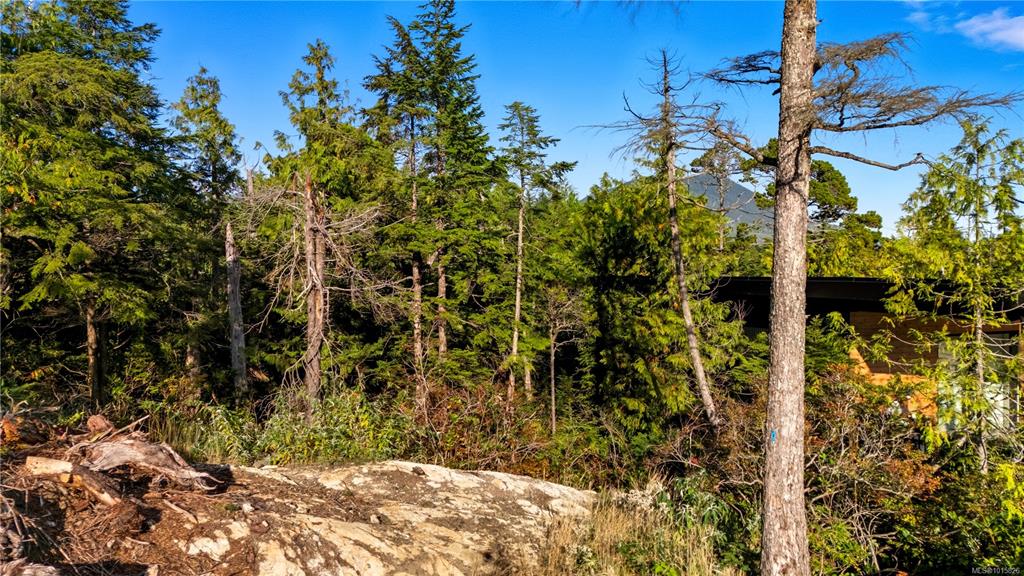 Fourth View of 851 Lorne White Pl, Ucluelet, BC, V0R 3A0