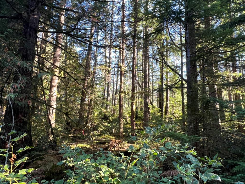 Fifth View of Lot 60 Busby Island, Sonora Island, BC, V0P 1W0