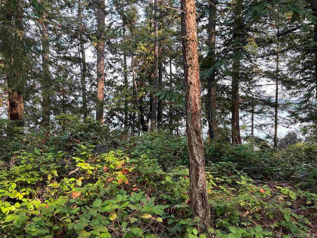 Fourth View of Lot 2 North End Rd, Salt Spring, BC, V0V 0V0