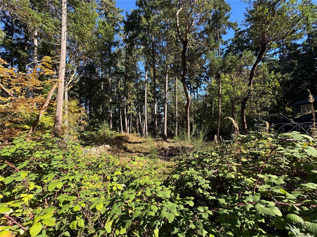 Fourth View of 164 Pirates Lane, Protection Island, BC, V9R 6R1