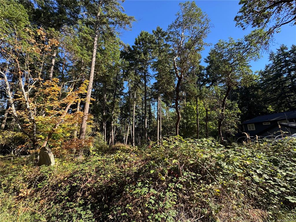 Fifth View of 164 Pirates Lane, Protection Island, BC, V9R 6R1