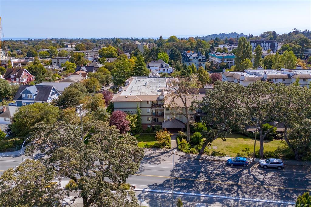 Second View of 1655 Begbie St, Chestnut Grove, Victoria, BC, V8R 1L4