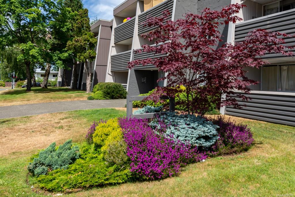 377 Dogwood St S, 1018771, BC,