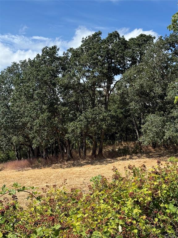 Fourth View of 3876 Holland Ave, Saanich, BC, V8Z 5K1