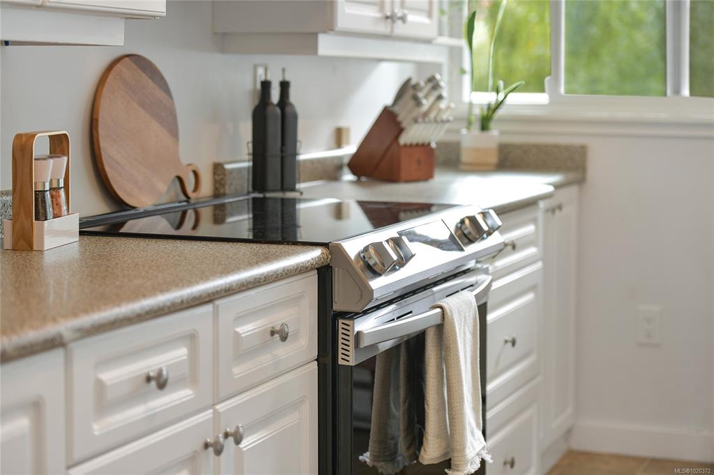 Fourth View of 1366 Hillside Ave, Victoria, BC, V8T 2B5