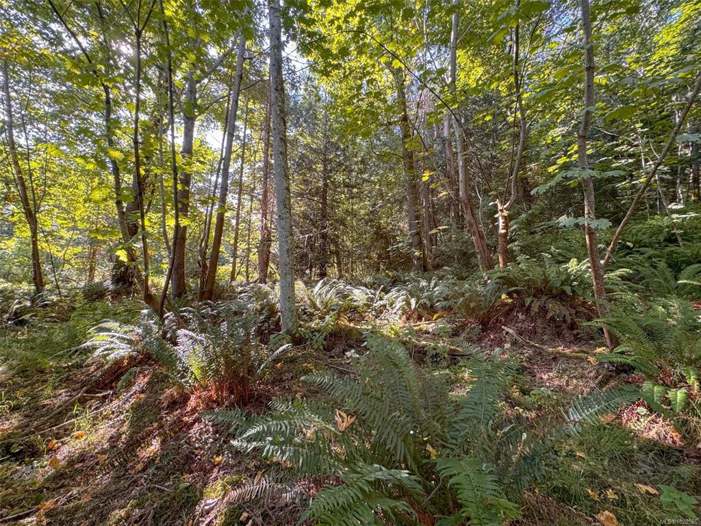 Fourth View of Lot 7 The Strand, Gabriola Island, BC, V0R 1X0