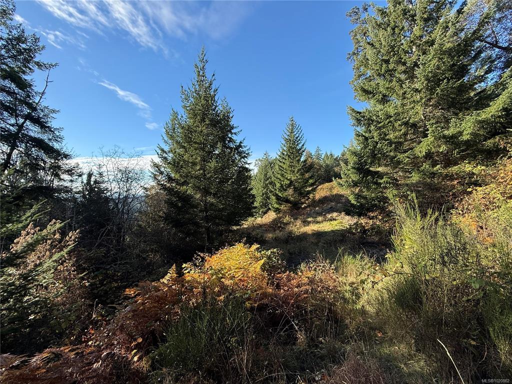Fourth View of Lot 1 South Rd, Gabriola Island, BC, V0R 1X6