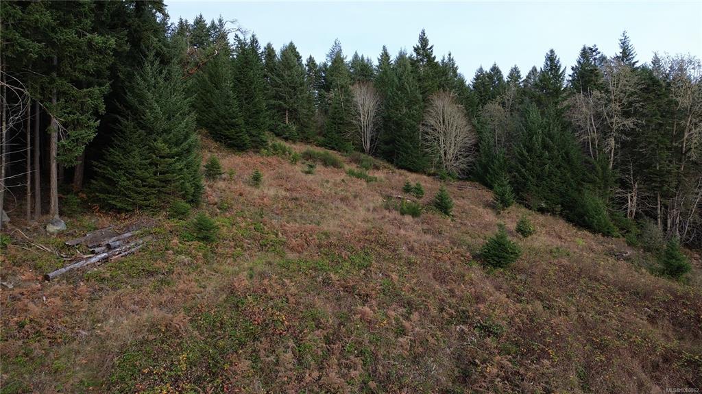 Fifth View of Lot 1 South Rd, Gabriola Island, BC, V0R 1X6