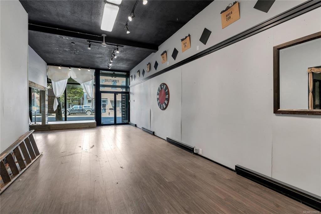 Fifth View of 1323 Government St, Victoria, BC, V8W 1Y9