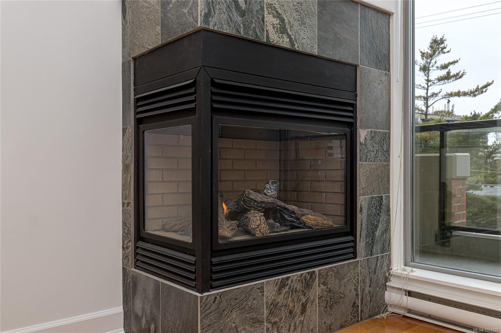 Fifth View of 225 Menzies St, Victoria, BC, V8V 2G6