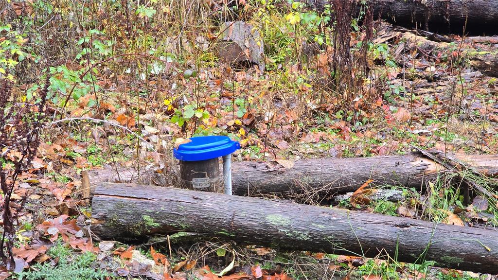 Fourth View of Lot 6 Cowichan Lake Rd, Lake Cowichan, BC, V0R 2G0