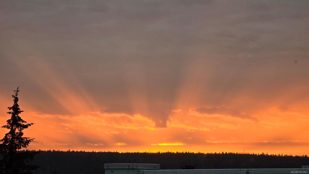 350 Island Hwy S, 1021491, BC,