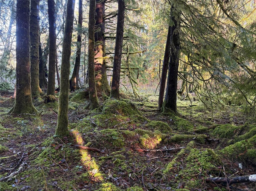 Lot B Highway 16, 1022047, BC,