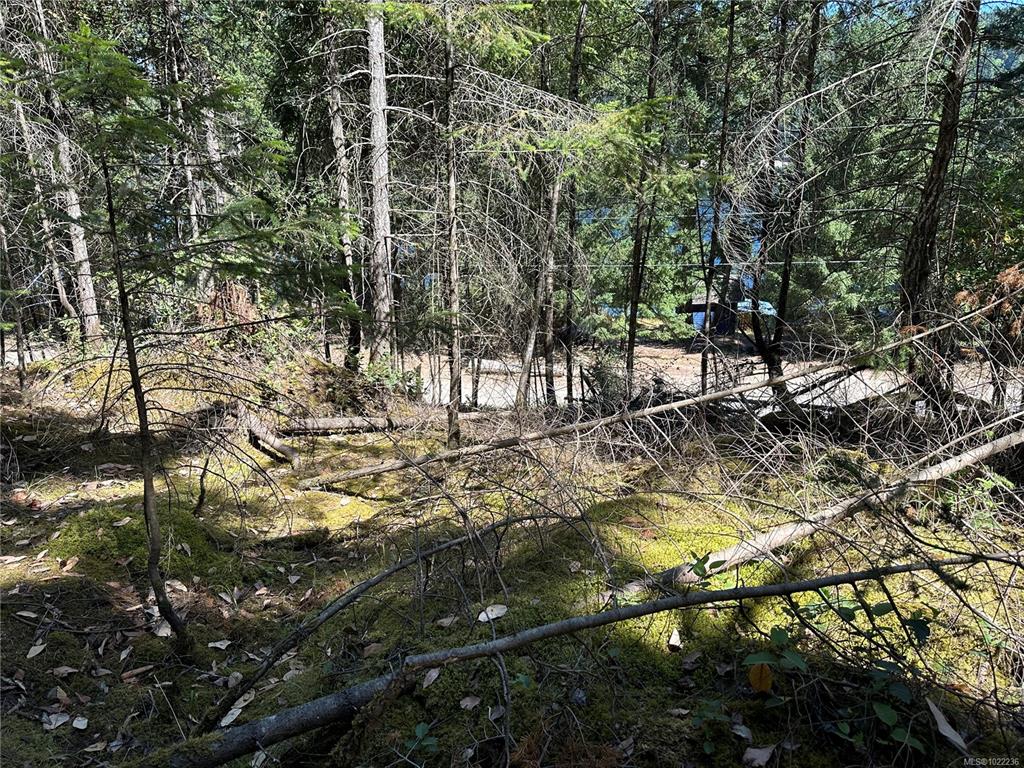 Fifth View of 136 Coho Dr, Mudge Island, BC, V0R 1X6