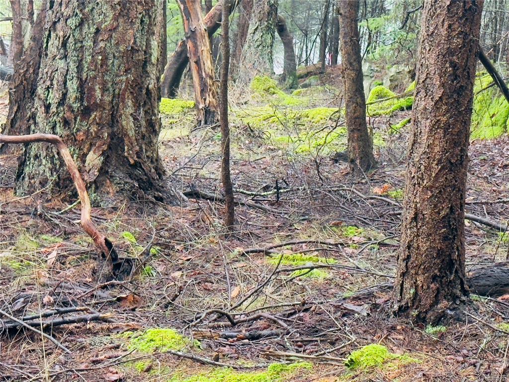 Fourth View of 127 Halibut Hill Rd, Mudge Island, BC, V0R 1X6