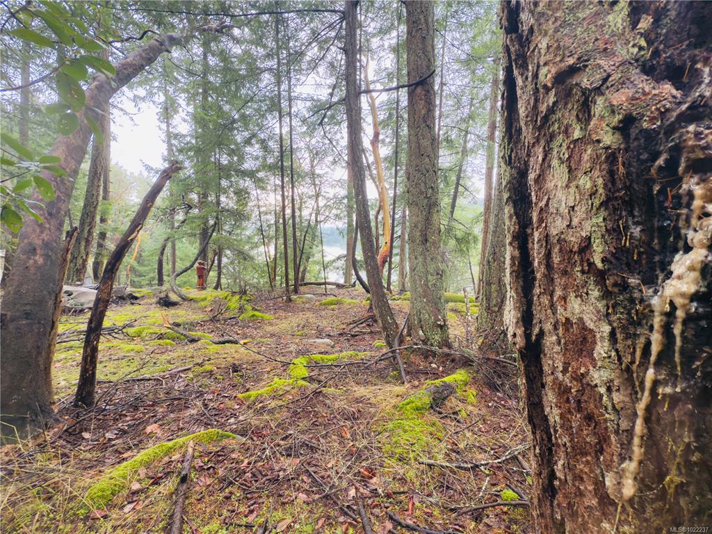 Fifth View of 127 Halibut Hill Rd, Mudge Island, BC, V0R 1X6