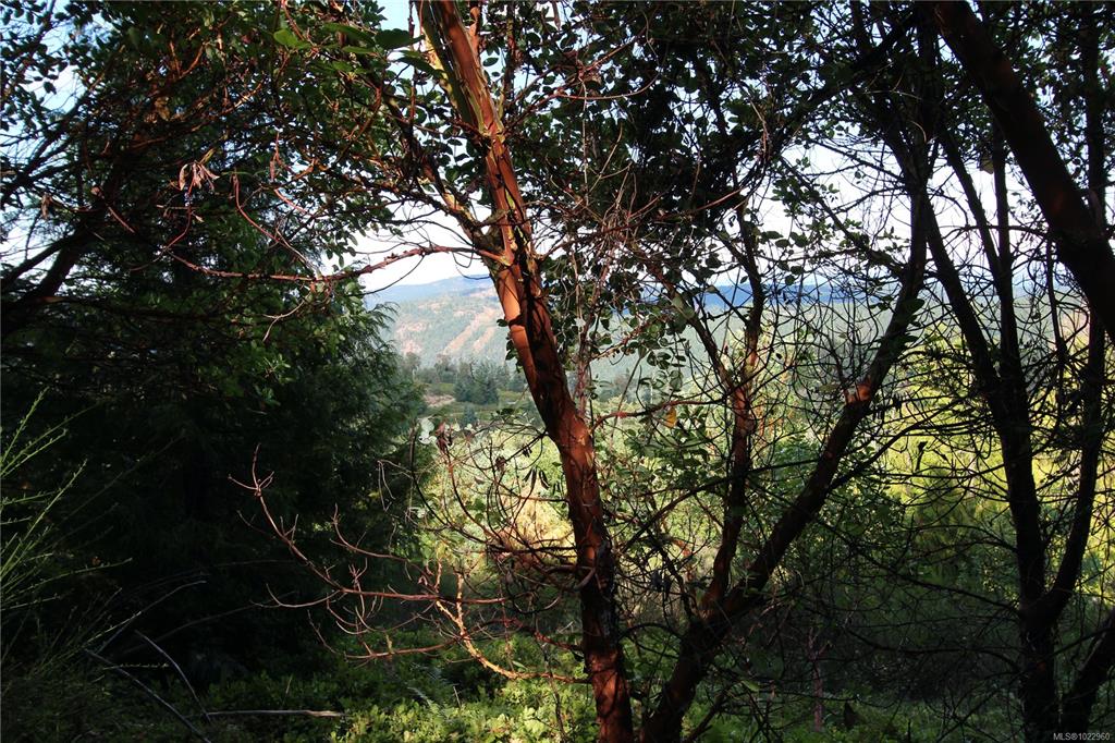 Lot 29 Goldstream Heights Dr, 1022960, BC,