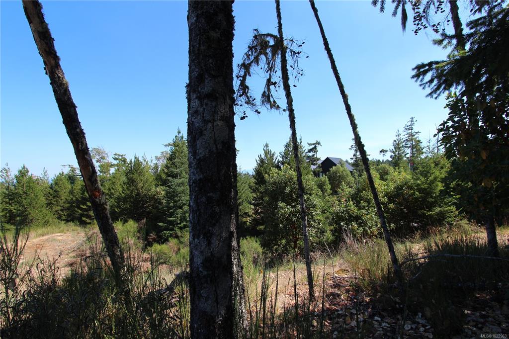 Third View of Lot 35 Goldstream Heights Dr, Shawnigan Lake, BC, V0R 2W3