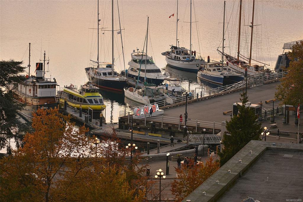 Fourth View of 707 Courtney St, Victoria, BC, V8W 0A9