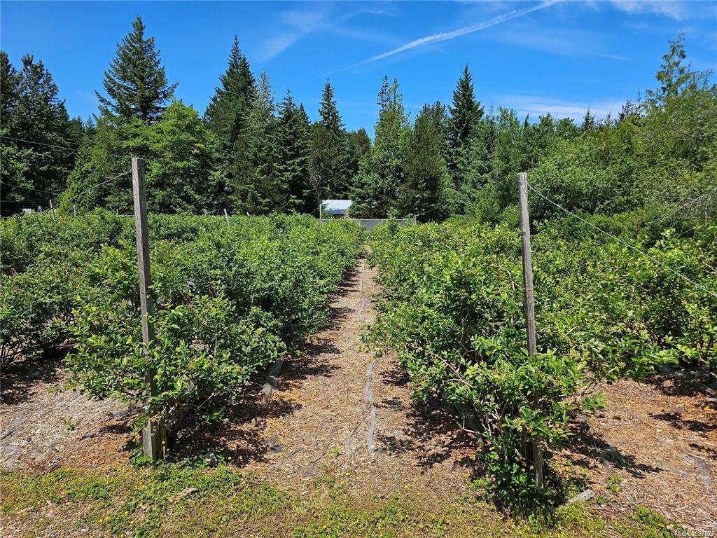 2156 Coleman Rd, 1023759, BC,