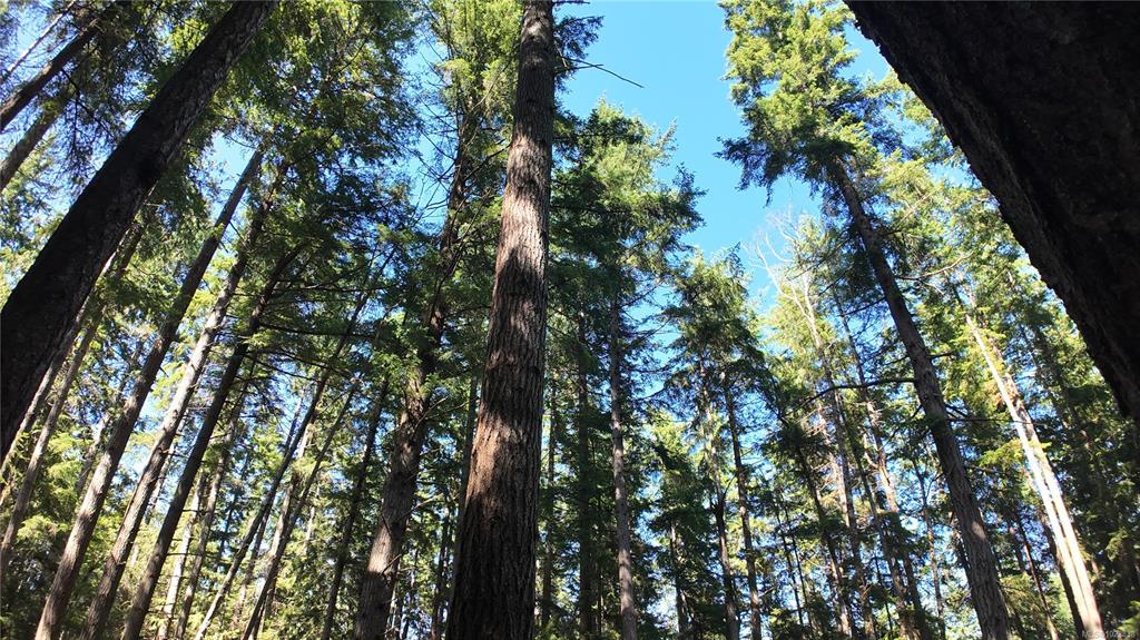 4480 Strachan Rd, 1023838, BC,