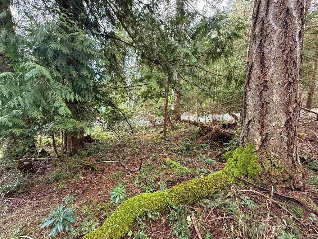 Lt 37 Dirksen Rd, 1024079, BC,