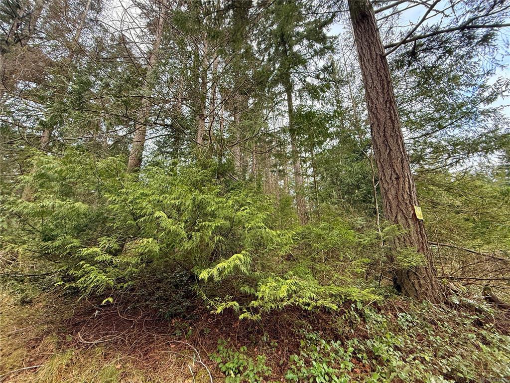Fifth View of Lt 37 Dirksen Rd, Gabriola Island, BC, V0R 1X2