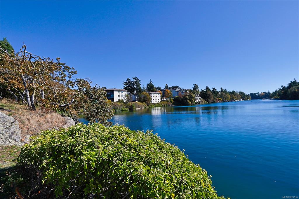 69 Gorge Rd W, 1024310, BC,