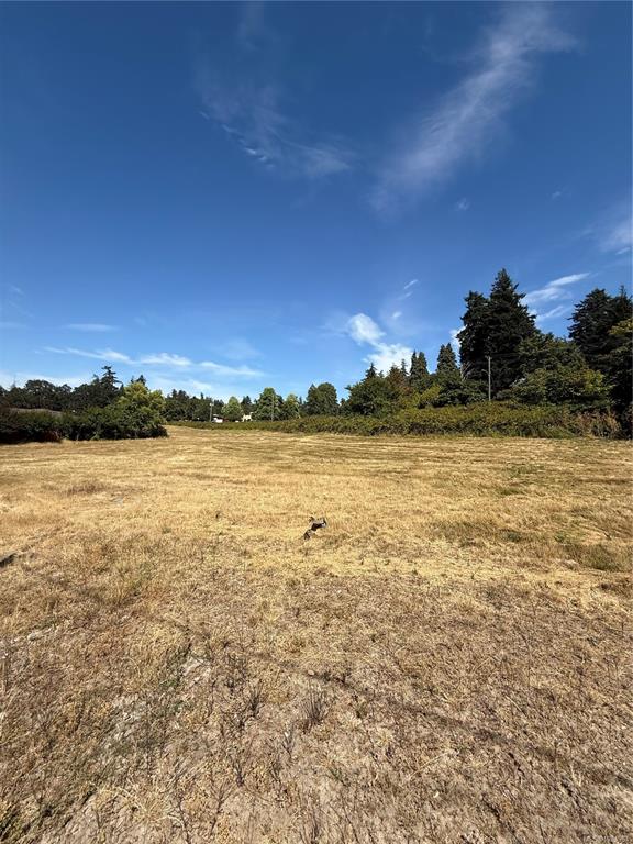 Fifth View of 3876 Holland Ave, Saanich, BC, V8Z 5K1